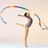 DSJUGGLING Adjustable Fiberglass Handsticks with Foam Handles,  Stretchable Poles for Dance Ribbon or Dancing Dragon Poi Equipment Rod